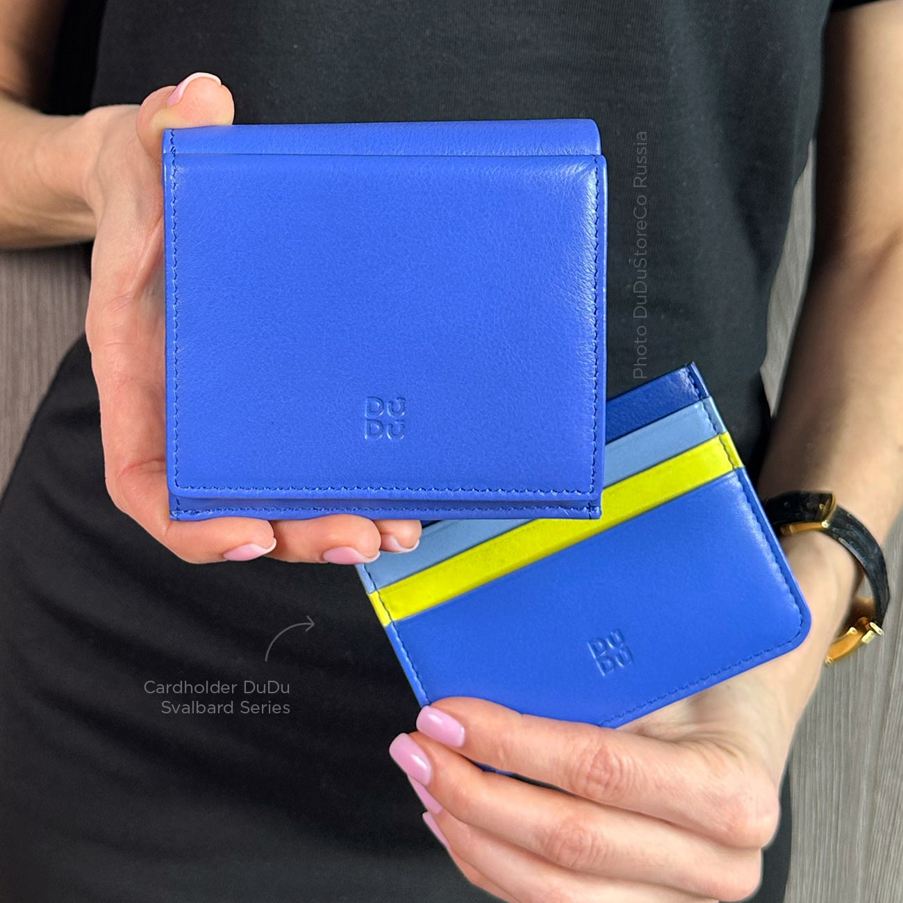 Серия Svalbard | cornflower